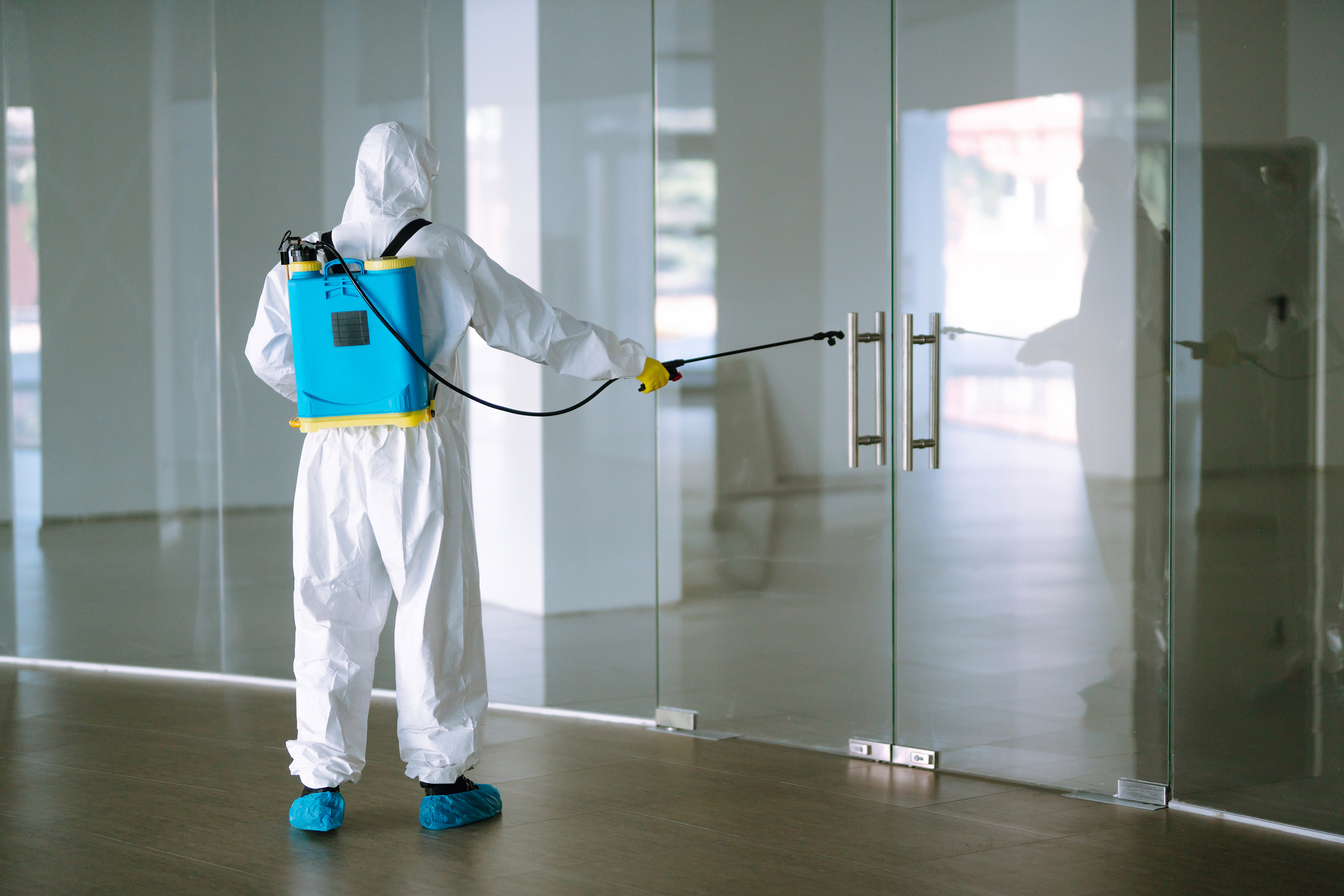 Emergency Pest Control Services