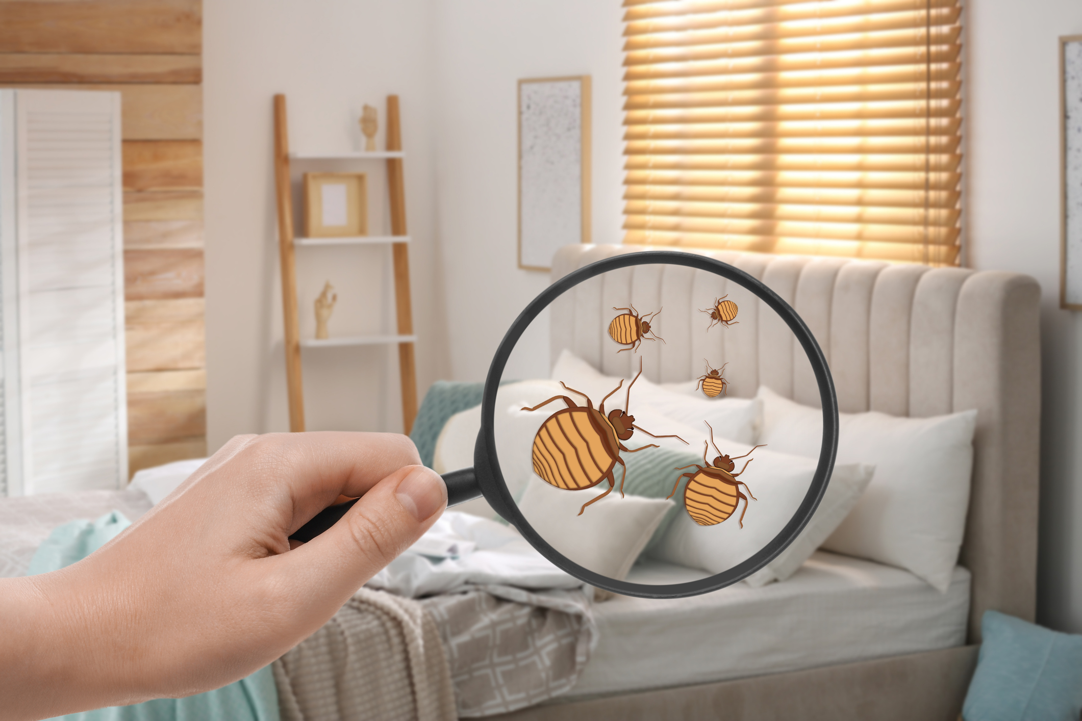 Emergency Pest Control Services