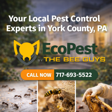 Featured image for “Who We Are — And Why York County Homeowners Call Us First – Pest Control York PA”