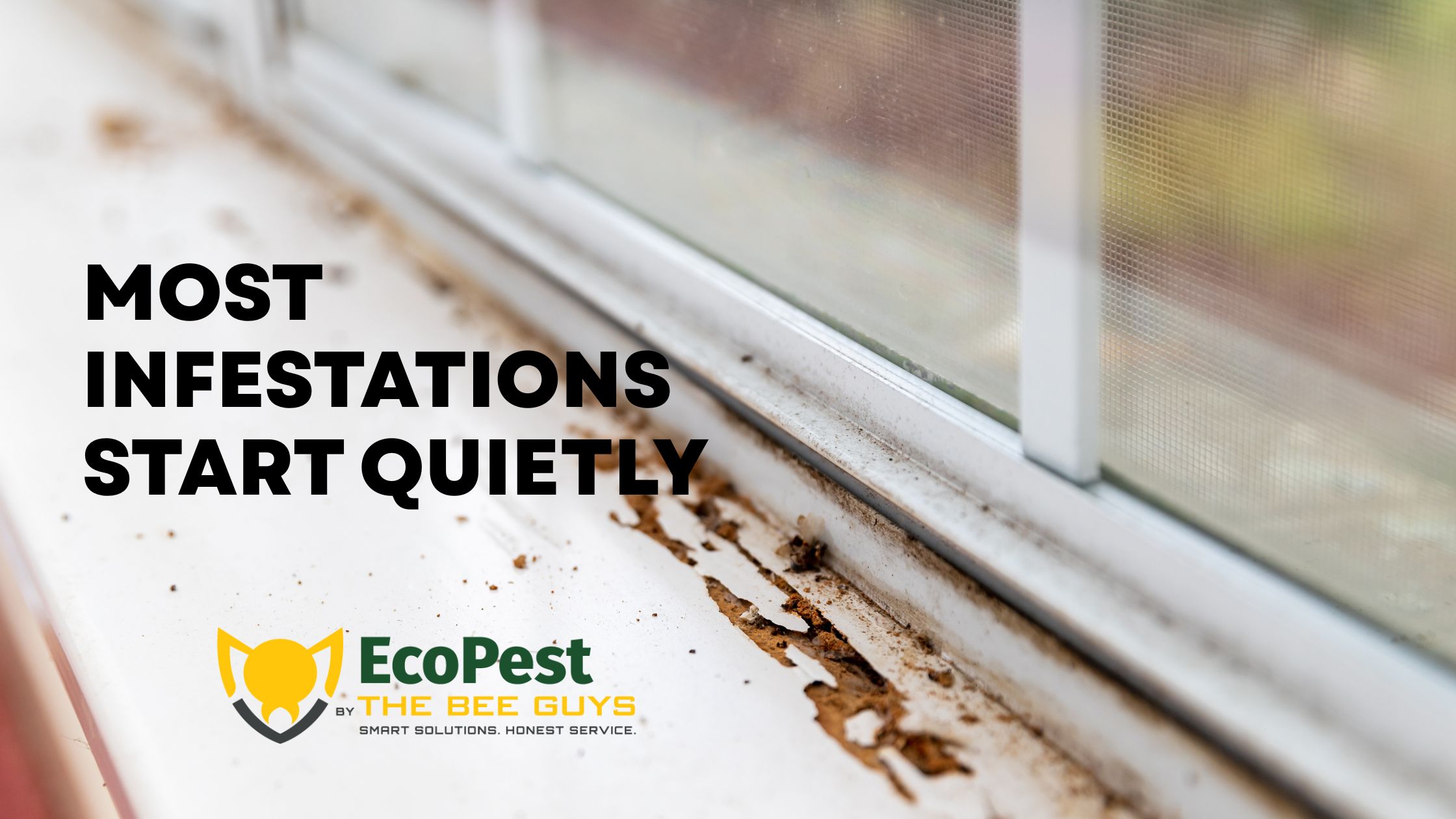 Featured image for “The Pest Problems York County Homeowners Ignore… Until It’s Expensive”