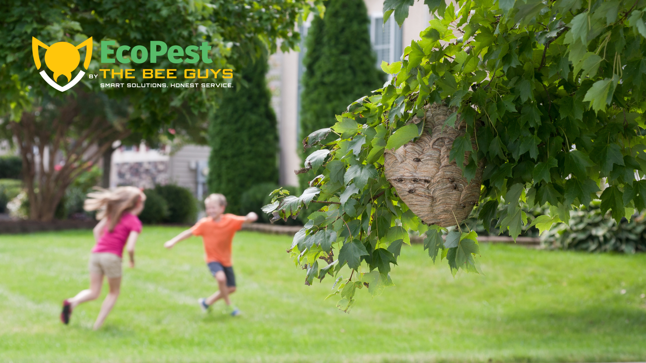 Featured image for “Why Are Yellow Jackets Everywhere? | York PA Yellow Jacket Control”